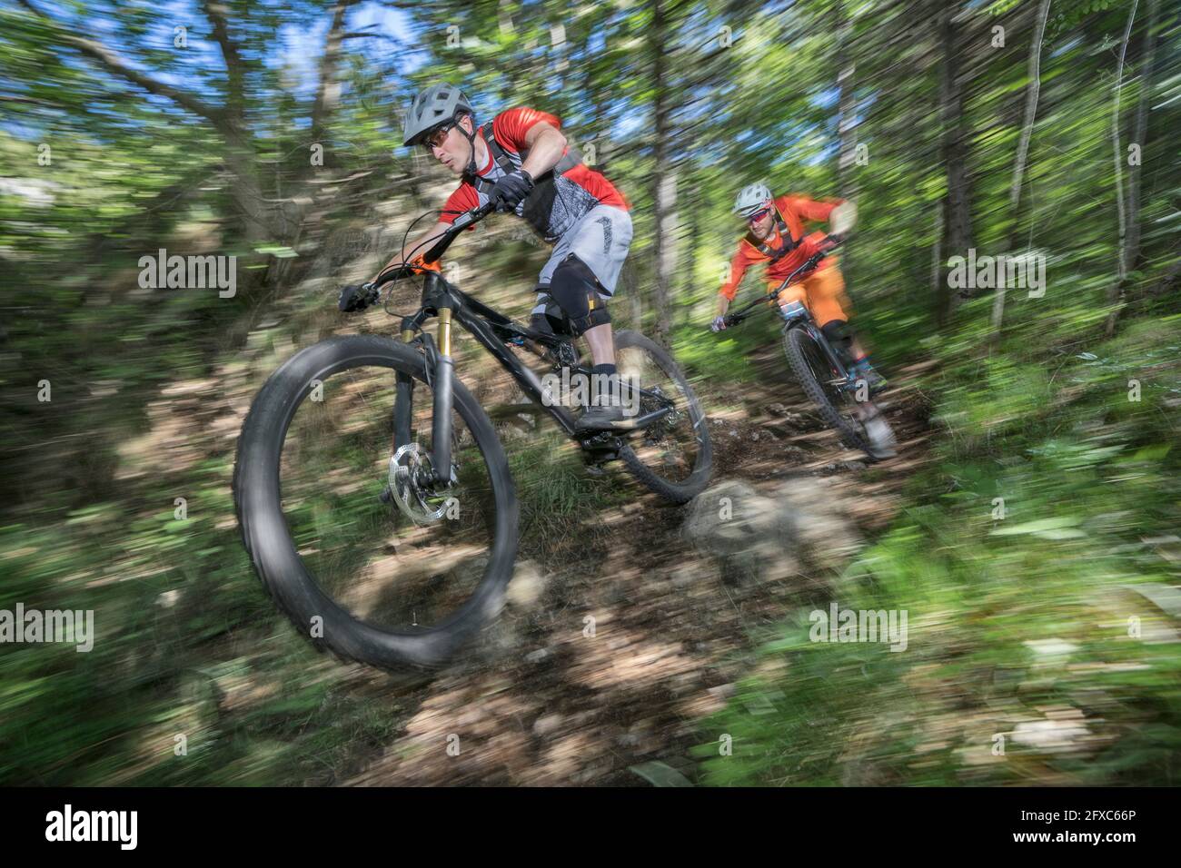 Männliche Radfahrer auf Mountainbikes, die sich im Wald bewegen Stockfoto