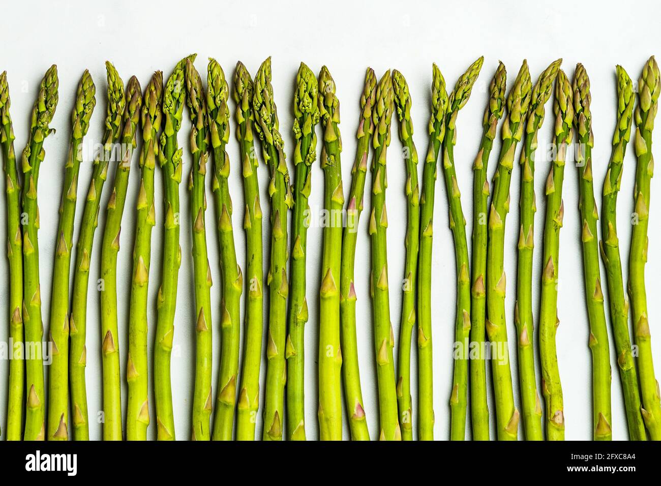 Frischer Spargel auf weißem Hintergrund Stockfoto