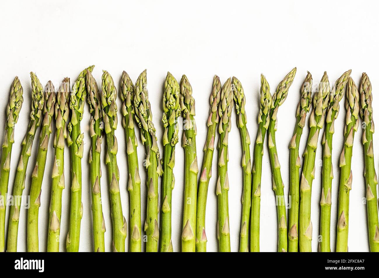 Frischer Spargel auf weißem Hintergrund Stockfoto