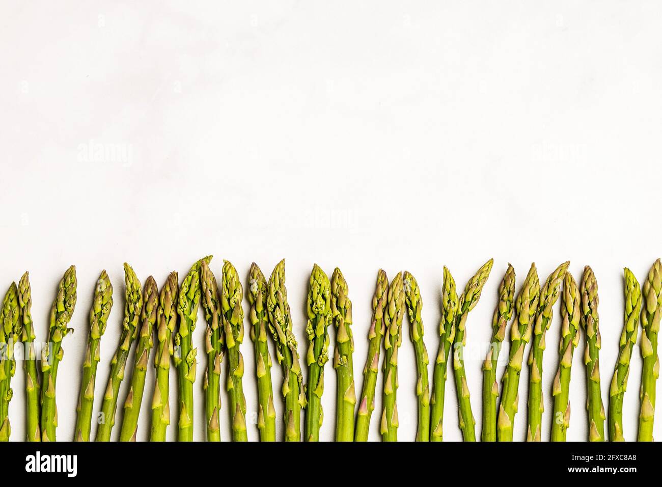 Frischer Spargel auf weißem Hintergrund Stockfoto