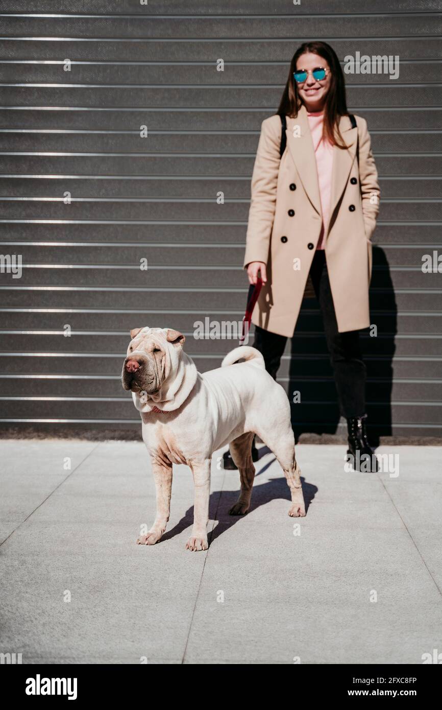Lächelnde Frau in Jacke, die an sonnigen Tagen mit einem reinrassigen Hund auf dem Fußweg steht Stockfoto