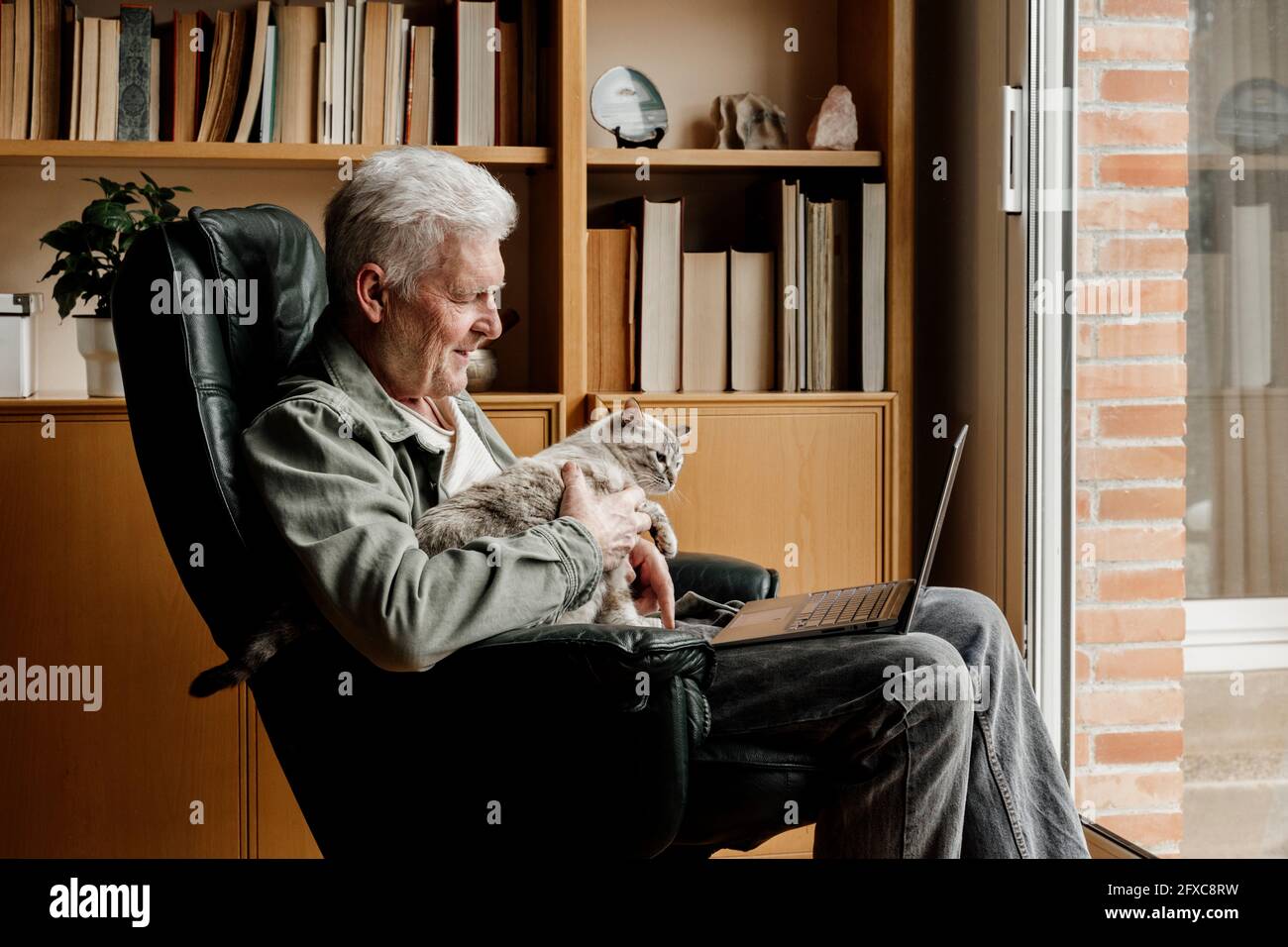 Älterer Mann mit Laptop, der die Katze hält, während er zu Hause auf dem Stuhl sitzt Stockfoto