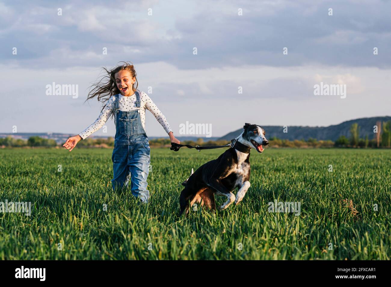 Aufgeregt Mädchen mit Hund läuft über Feld Stockfoto