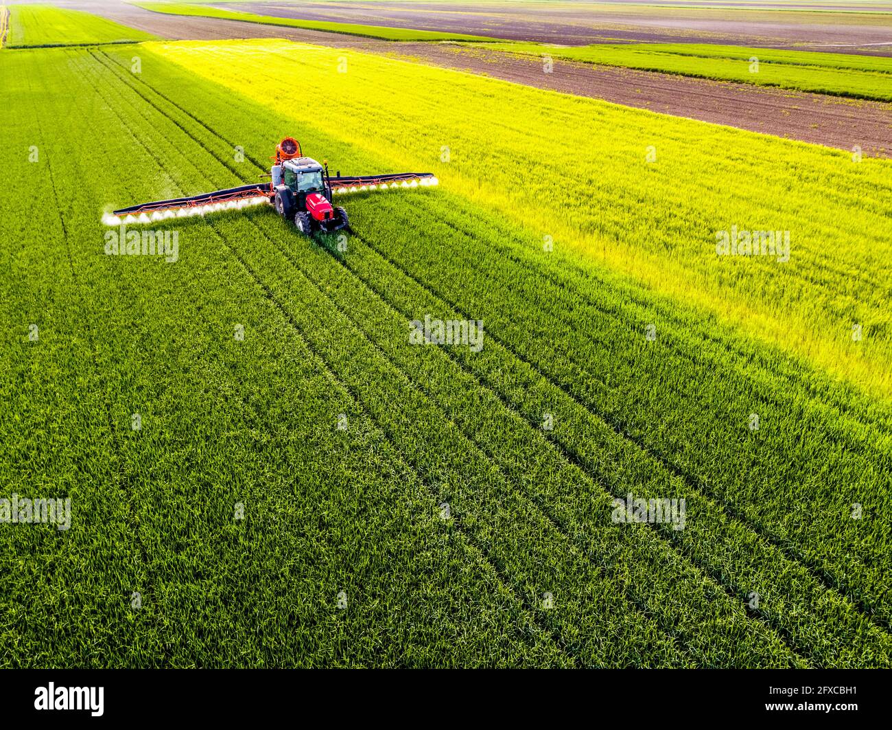 Feldspritze mit Pestiziden auf Weizenpflanzen bestreuen Stockfoto