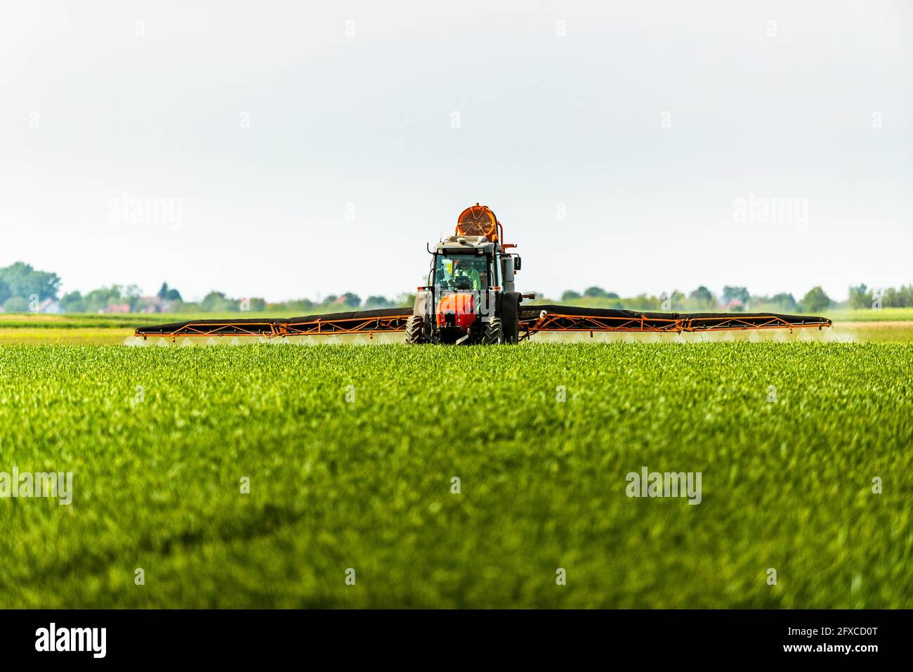 Feldspritze, die im Frühjahr Herbizid auf einer nicht kultivierten Weizenfarm streut Stockfoto