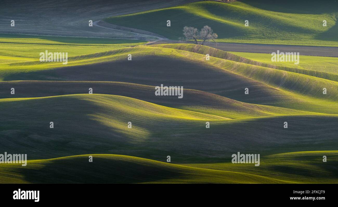 Blick auf schöne Farm Land sanften Hügeln von Steptoe Butte Parken Sie in Washington Stockfoto