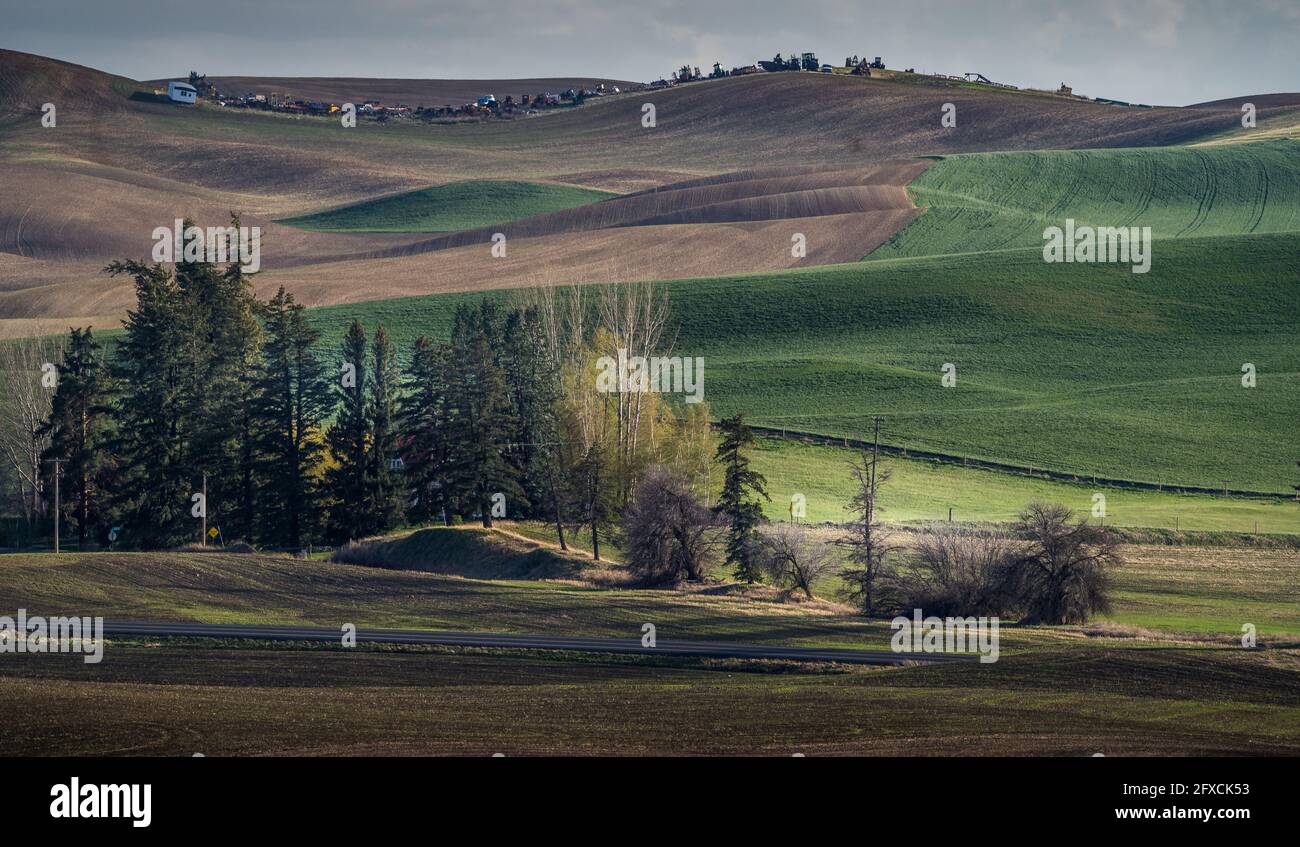 Ackerland in Palouse, Washington, USA Stockfoto