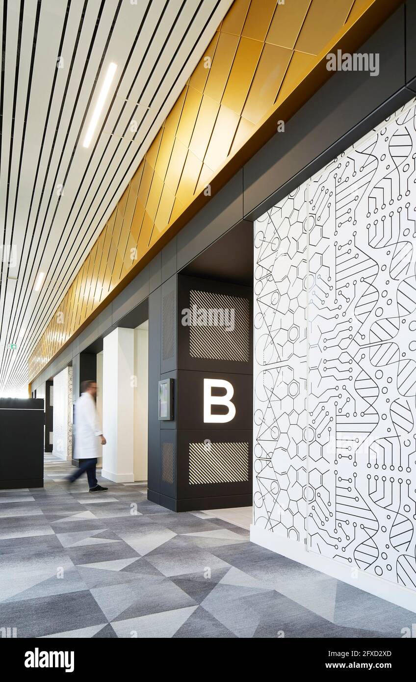 Foyer mit Lift Lobby. University of Birmingham, Collaborative Teaching Laboratory, Birmingham, Großbritannien. Architekt: Sheppard Robson, 2018. Stockfoto