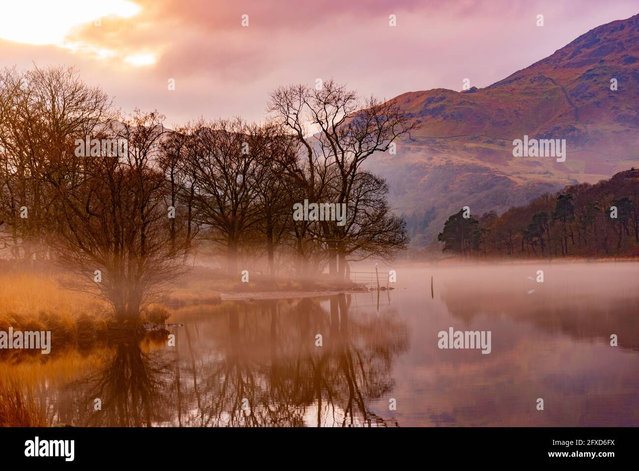 Llyn Gwynant Eryri Nationalpark Stockfoto