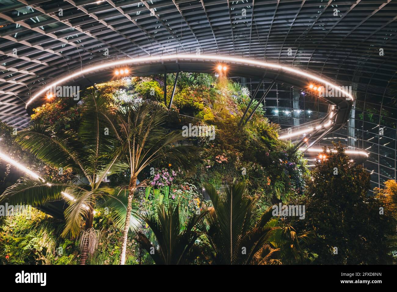 Spazierwege im Gewächshaus des Flower Dome mit einer grünen Pflanzenvielfalt in Singapur. Stockfoto