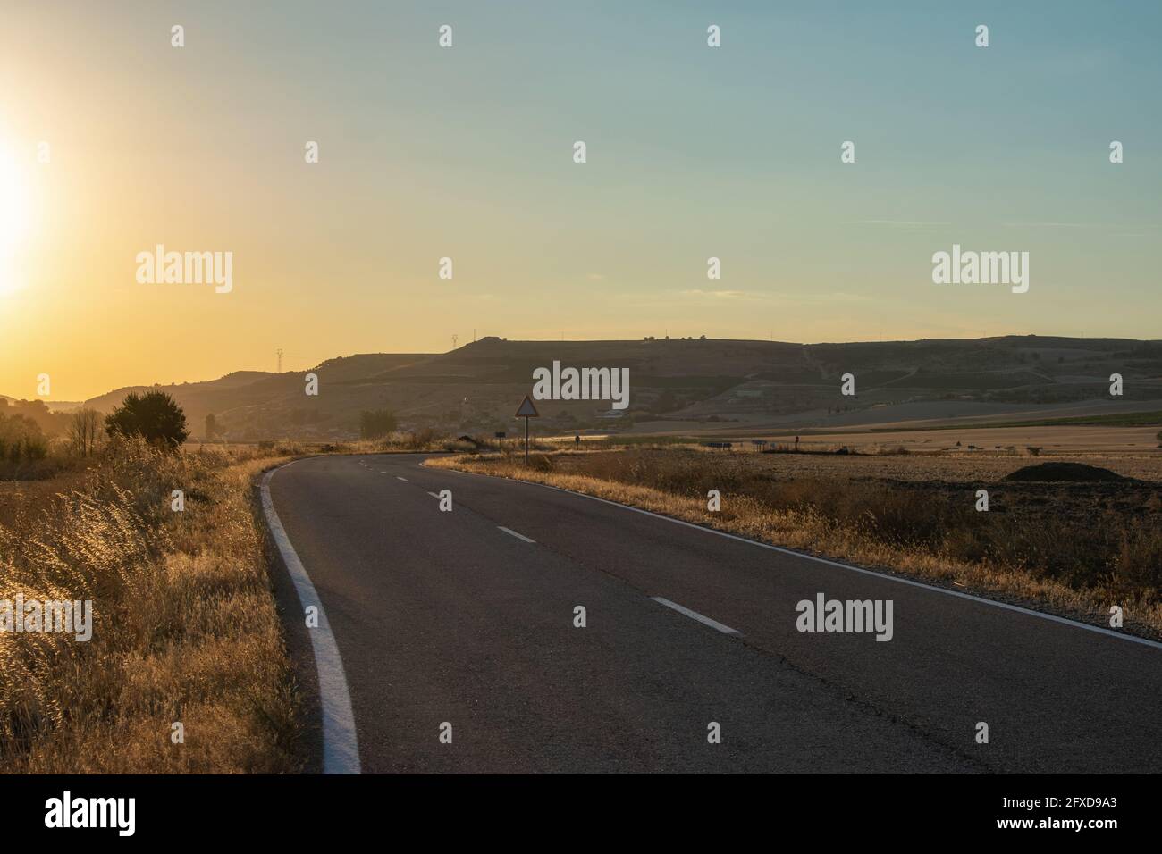 Leere Straße überquert landwirtschaftliche Feld in der Morgendämmerung Stockfoto