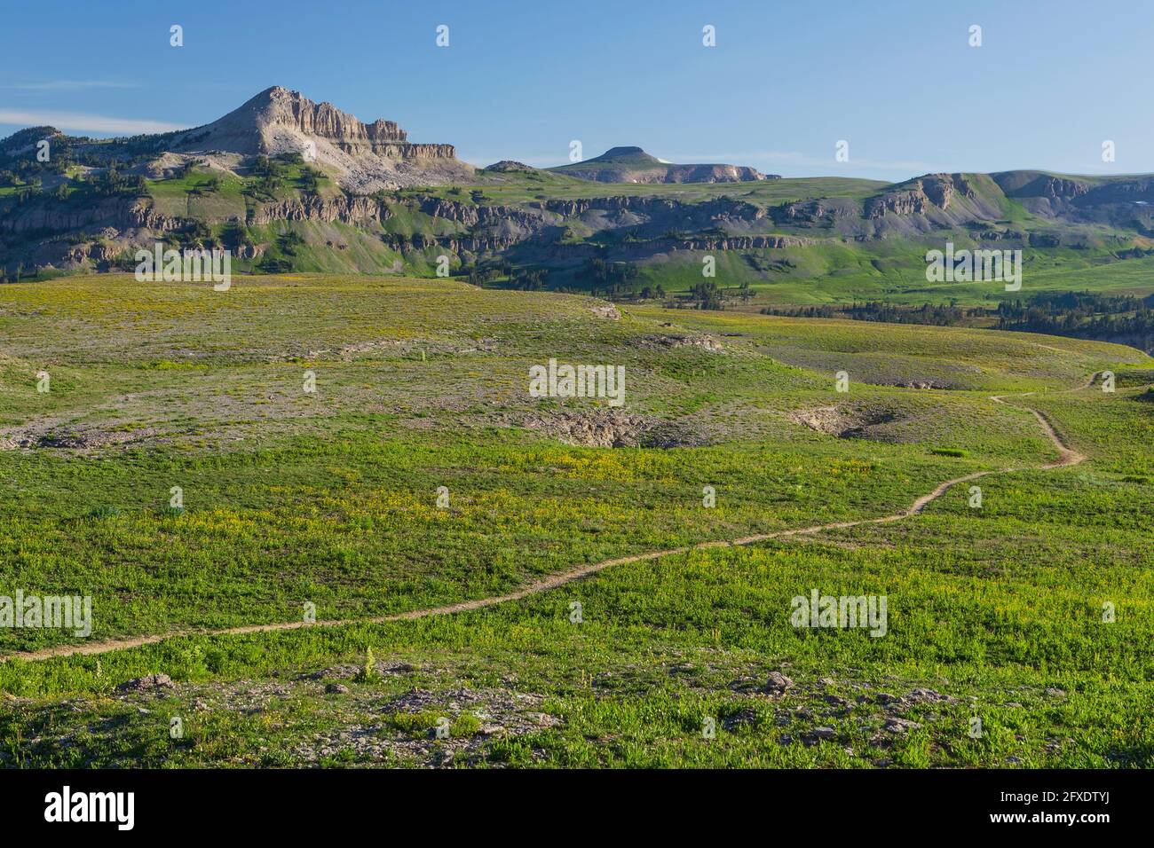 Teton Crest Trail am Mount Meek Pass Stockfoto