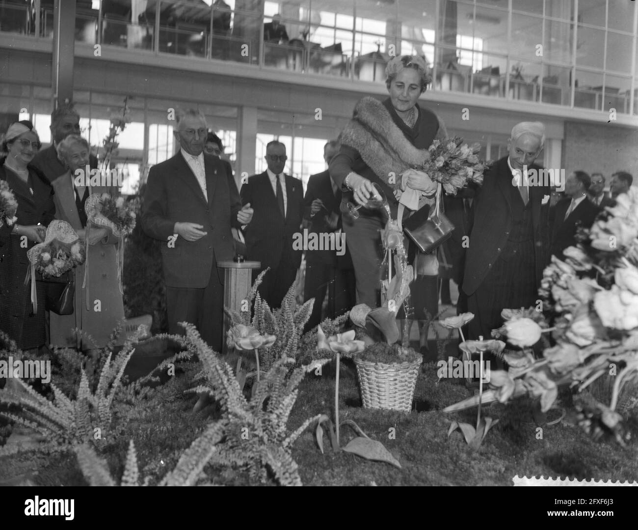 Tulp zur SS. Rotterdam getauft in Utrecht Mrs. E. de Monchy Van der Hoeven tauft die Tulpe, 21. April 1959, Niederlande, 20. Jahrhundert Presseagentur Foto, Nachrichten zu erinnern, Dokumentarfilm, historische Fotografie 1945-1990, visuelle Geschichten, Menschliche Geschichte des zwanzigsten Jahrhunderts, Momente in der Zeit festzuhalten Stockfoto