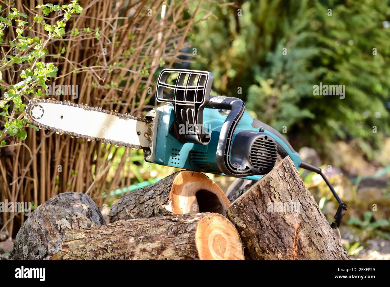 Elektrische Kettensäge und Schnittholz während der saisonalen Arbeiten im Garten und Schneiden von Bäumen für Brennholz. Stockfoto