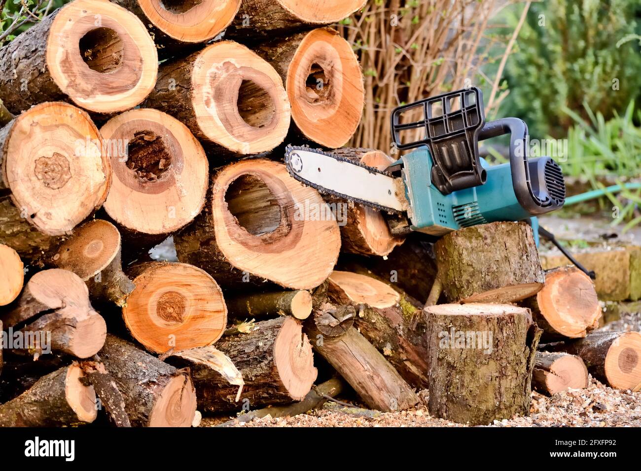 Frisch geschnittenes Brennholz und eine elektrische Kettensäge bei saisonalen Arbeiten im Garten. Umweltfreundliche elektrische Gartengeräte Ausrüstung zum Schneiden von Bäumen Stockfoto