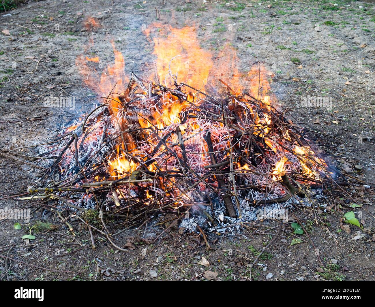 Haufen frisch gesägtes Äste brennen im ländlichen Garten Im Frühling Stockfoto