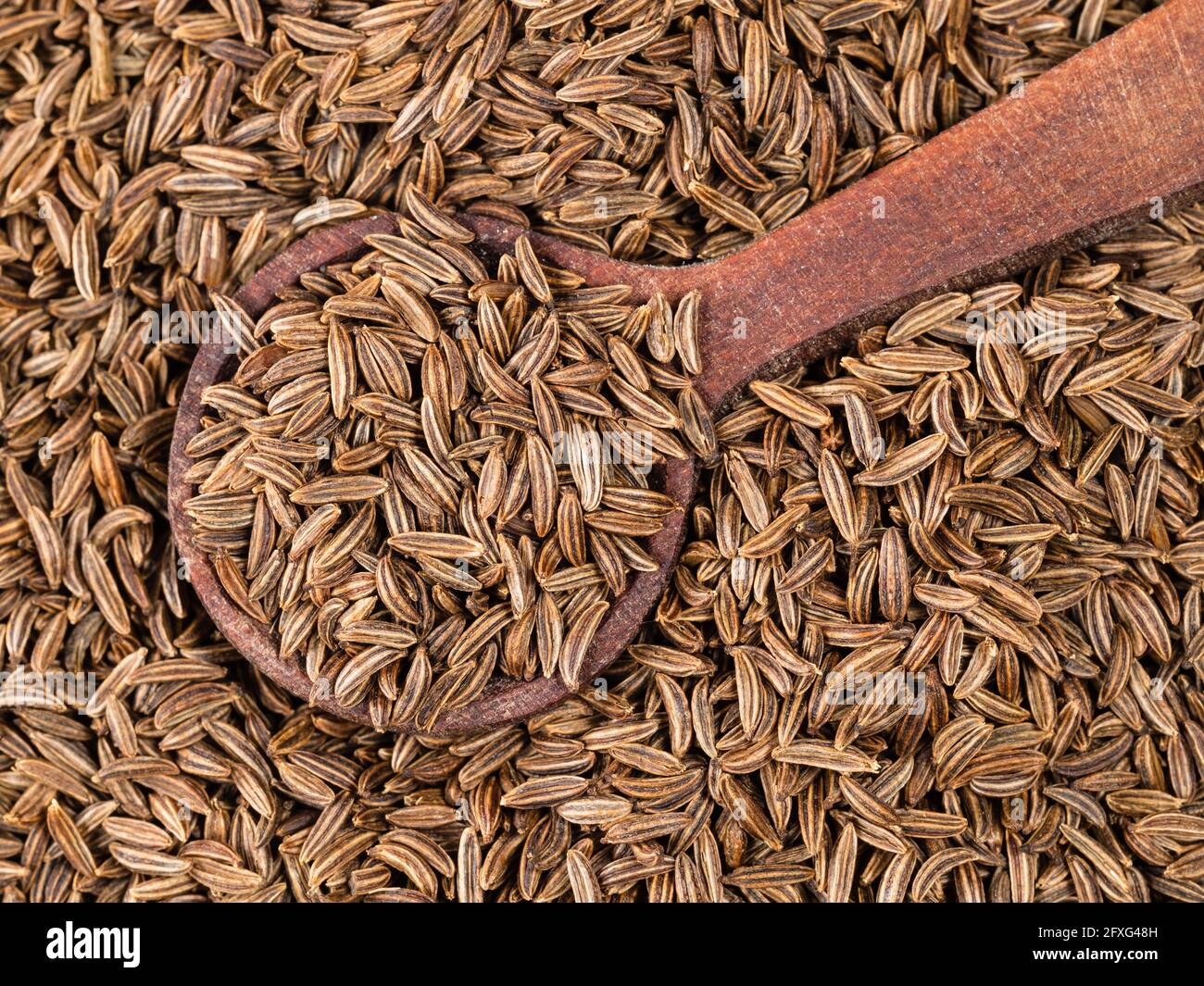 Holzlöffel auf Haufen Kümmel Früchte Nahaufnahme Stockfoto