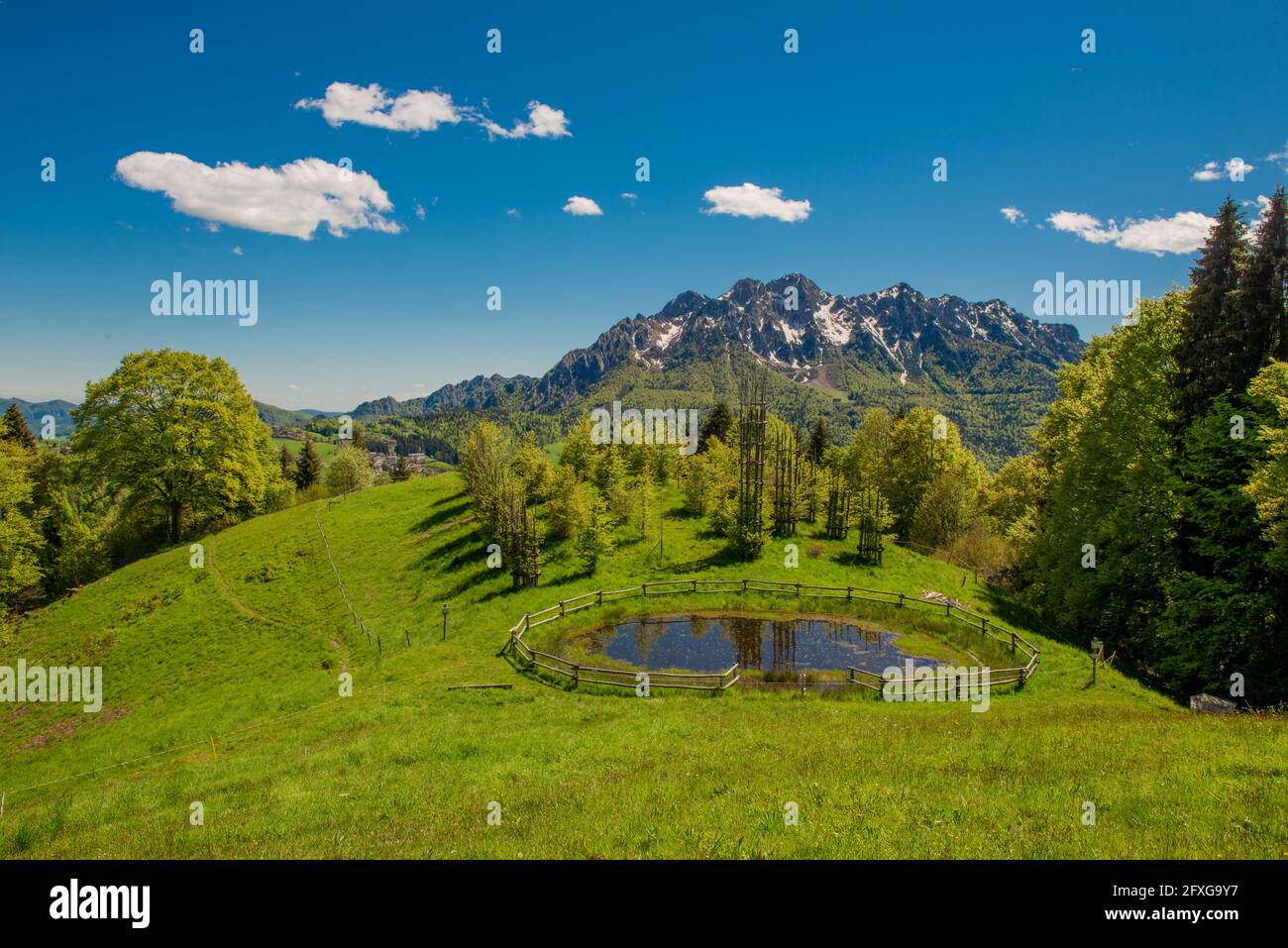 Bergsee umgeben von blühender Vegetation Stockfoto