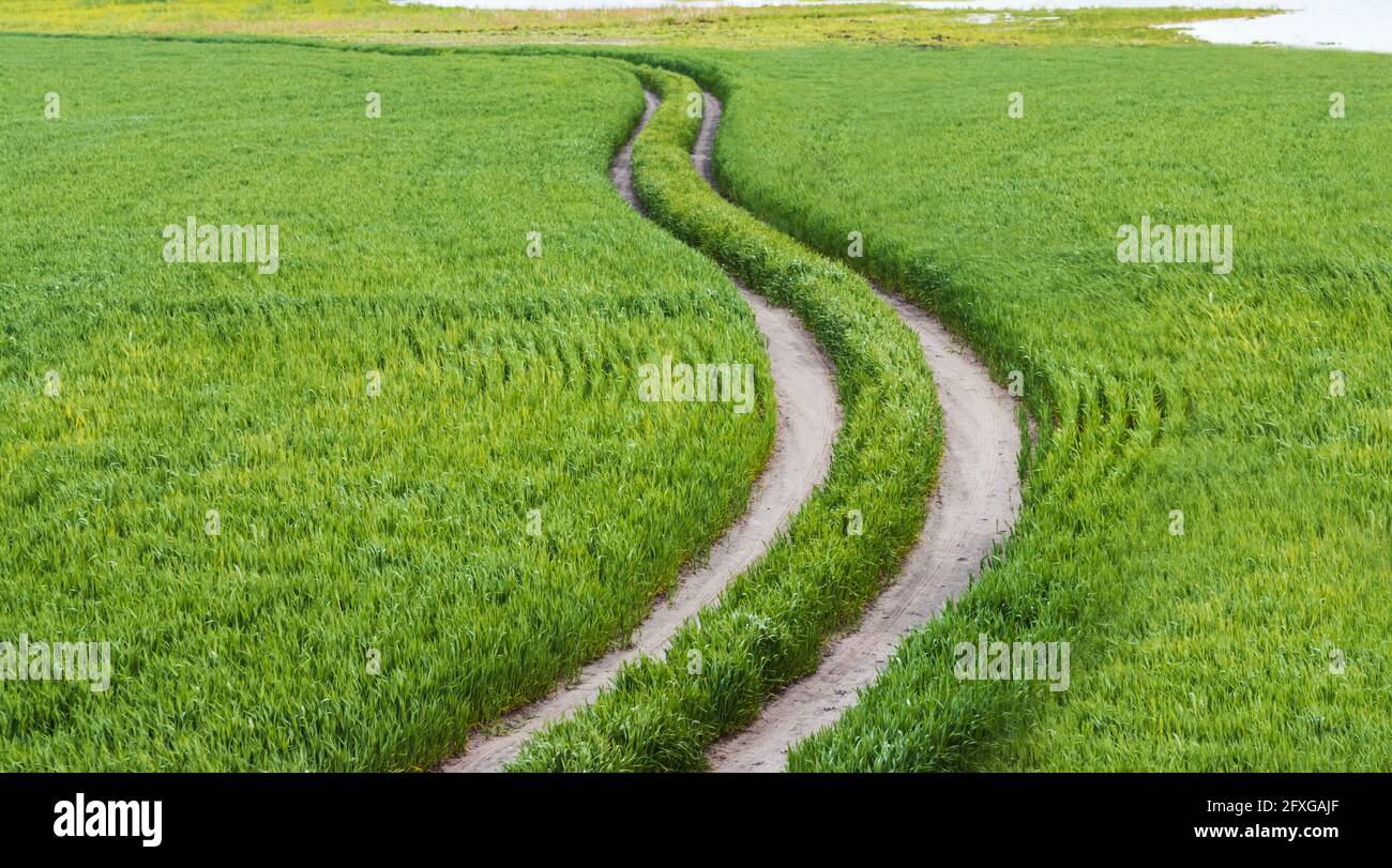 Zu Beginn des Weges schlängelt sich eine schöne Straße durch ein grünes Feld Stockfoto