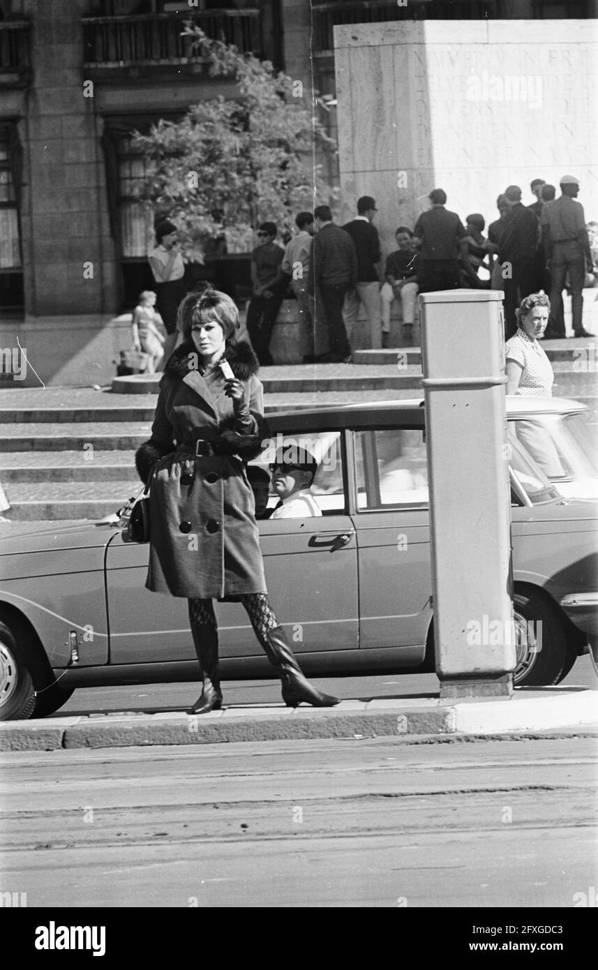 Entsetzt sieht Autobolist Mädchen in Pelz gekleidet bei Temperaturen von 30 Grad Celsius, 26. August 1964, BONT, MÄDCHEN, Niederlande, Presseagentur des 20. Jahrhunderts, Foto, Nachrichten zum erinnern, Dokumentarfilm, historische Fotografie 1945-1990, visuelle Geschichten, Menschliche Geschichte des zwanzigsten Jahrhunderts, Momente in der Zeit festzuhalten Stockfoto