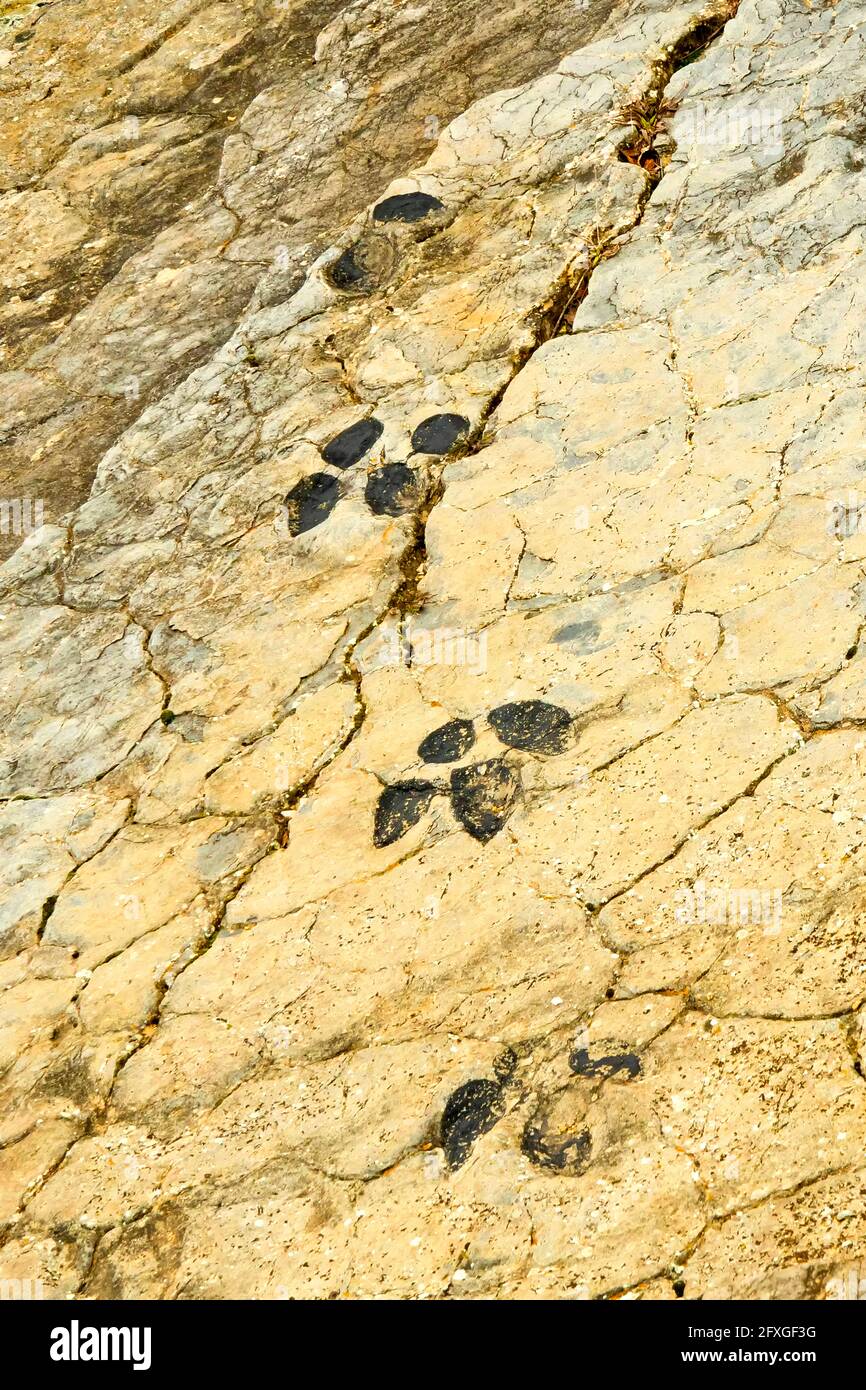 Paläontologische Lagerstätte von Ichniten in Fuentesalvo, Villar del Rio, Ichnite-Route der Highlands von Soria, Soria, Kastilien und Leon, Spanien, Europa Stockfoto