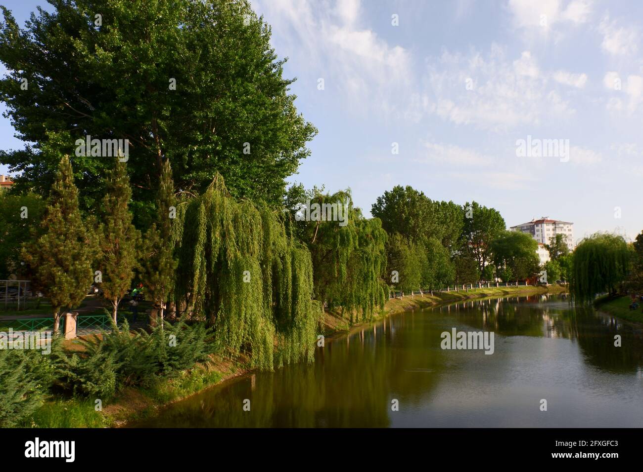 Bäume am Flussufer an einem sonnigen Tag in der Türkei Stockfoto