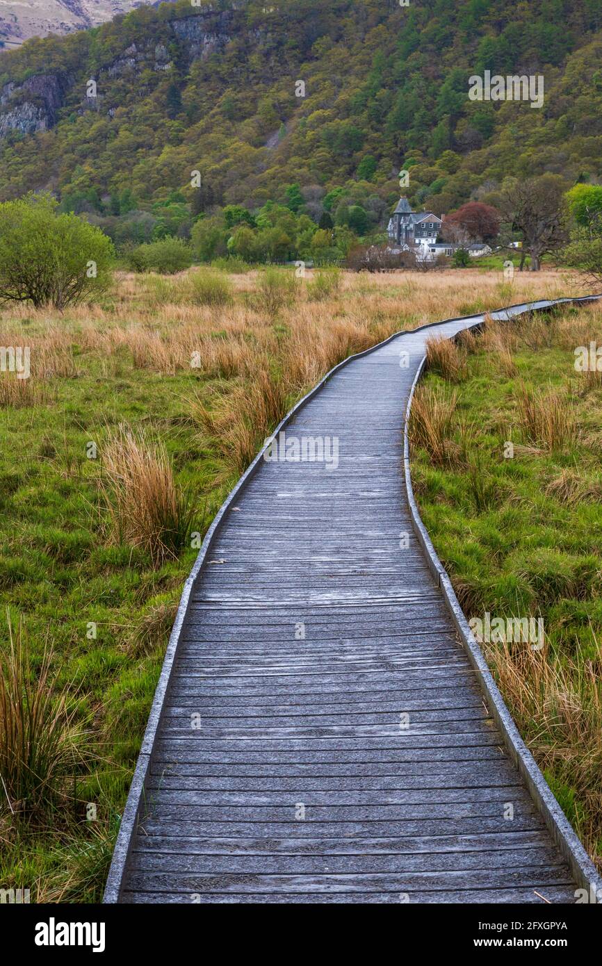 Die Promenade über Sumpflandschaft am südlichen Ende von Derwent Water mit dem Lodore Falls Hotel in der Ferne, Lake District, England Stockfoto