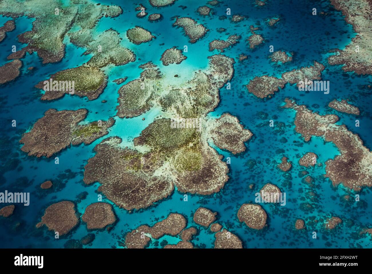 Luftaufnahme des hervorragenden Great Barrier Reef. Stockfoto