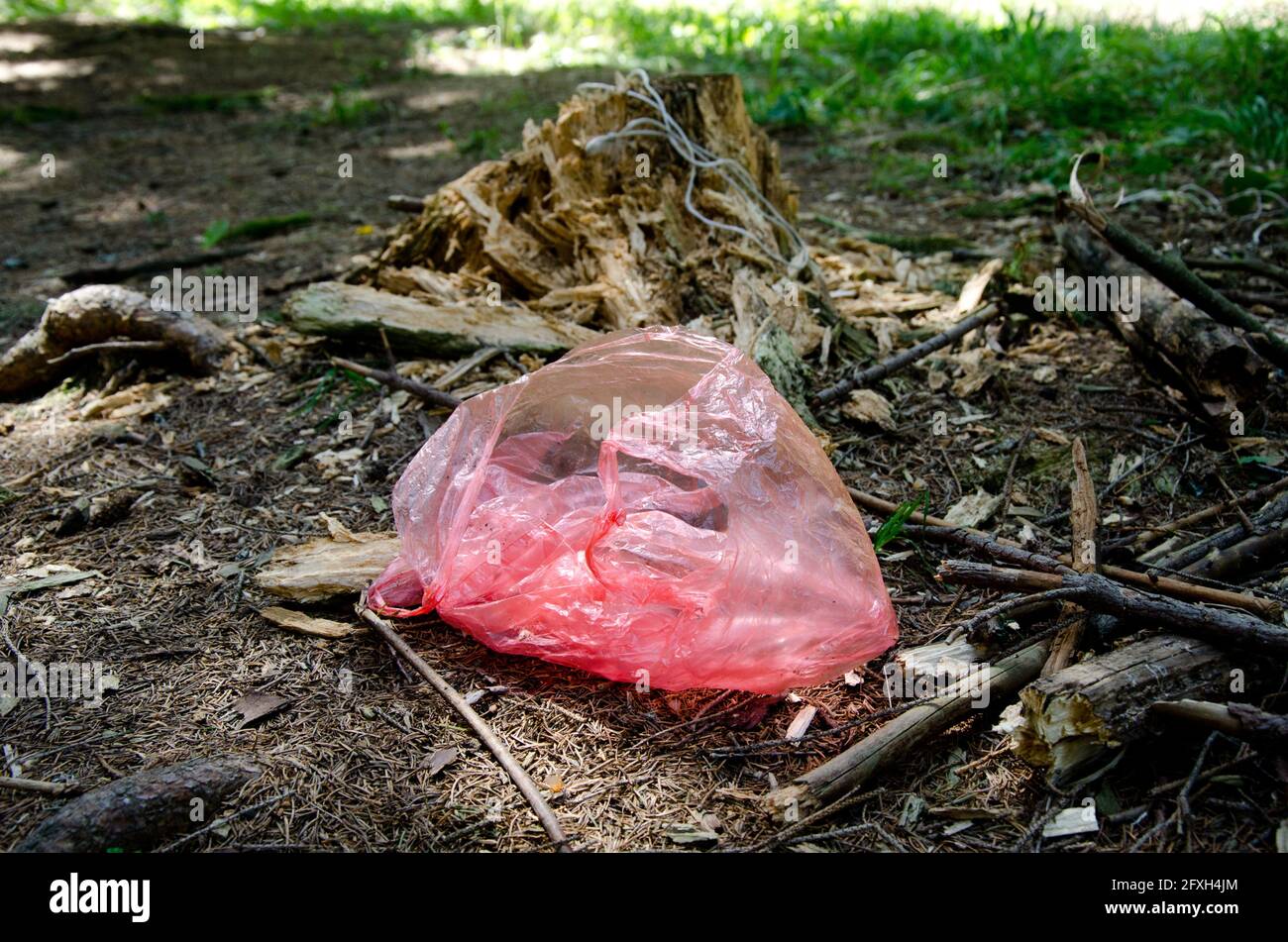 Leere rote Plastiktüte in Wäldern liegen auf dem Boden in der Nähe von Schnittbaum in der frühen Frühjahrssaison, Umweltproblem mit Abfall, Müll und Müll Stockfoto