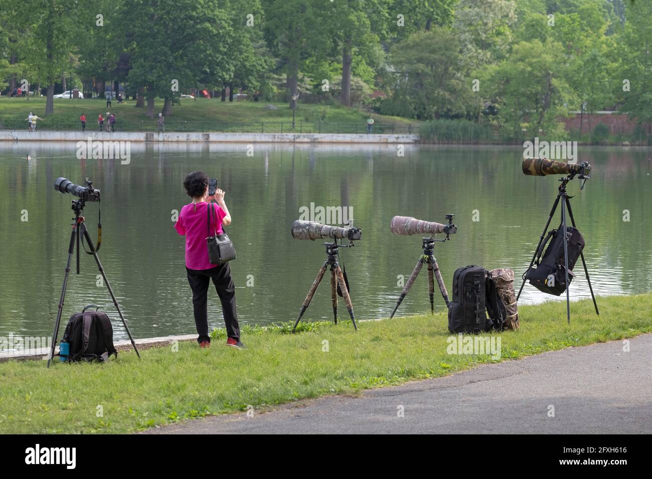 Inmitten von 4 teuren Kameras und Teleobjektiven macht eine asiatisch-amerikanische Frau mit ihrem Handy ein Foto. Stockfoto