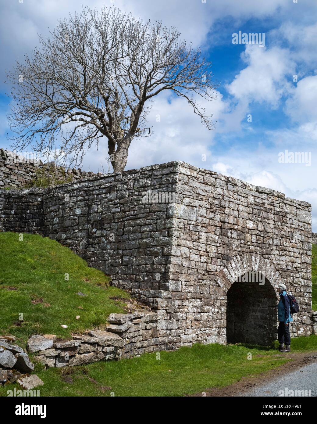 Die Bogenöffnung eines veralteten Kalkofens in High Eskeleth, Archengarthdale, Yorkshire Dales, Großbritannien Stockfoto