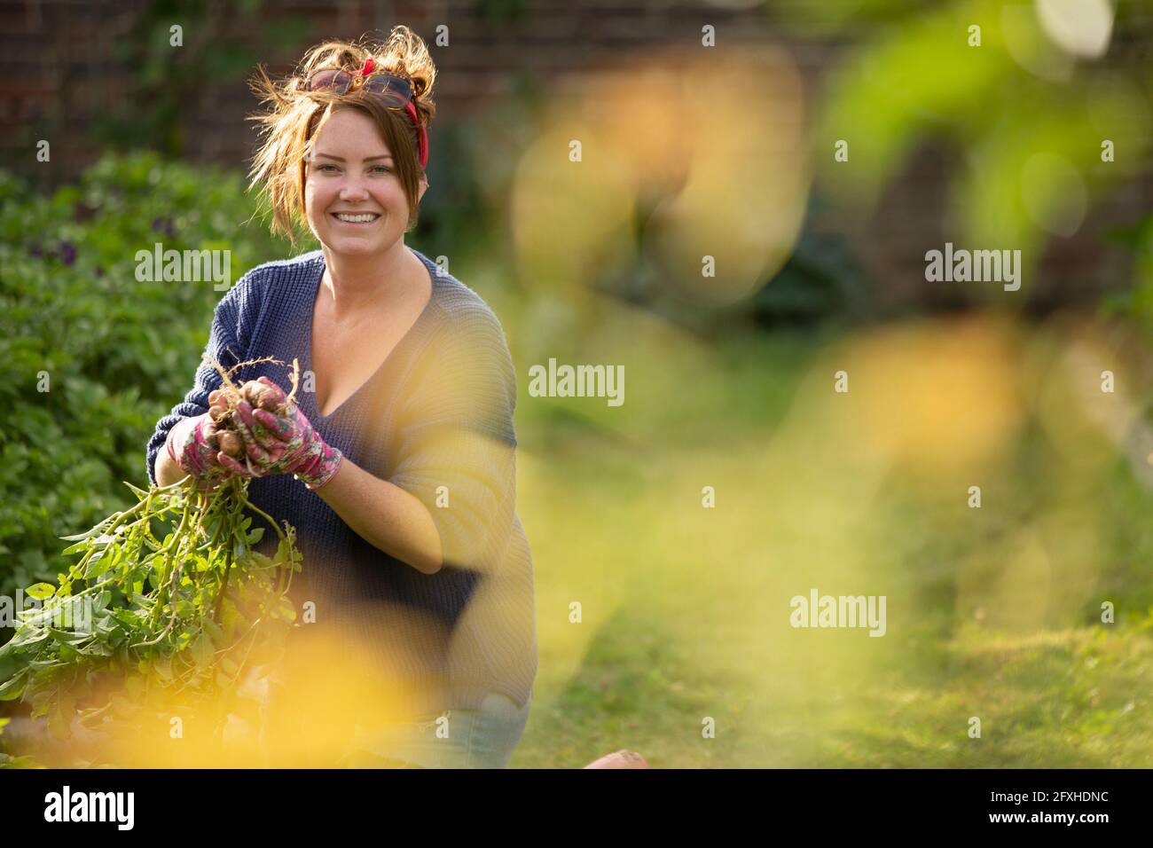 Portrait glückliche selbstbewusste Frau, die im Garten frische Kartoffeln erntet Stockfoto