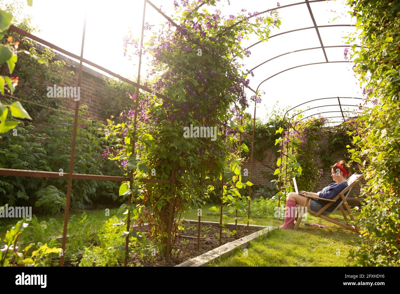 Frau mit Laptop im sonnigen Sommergarten unter Gitter Stockfoto