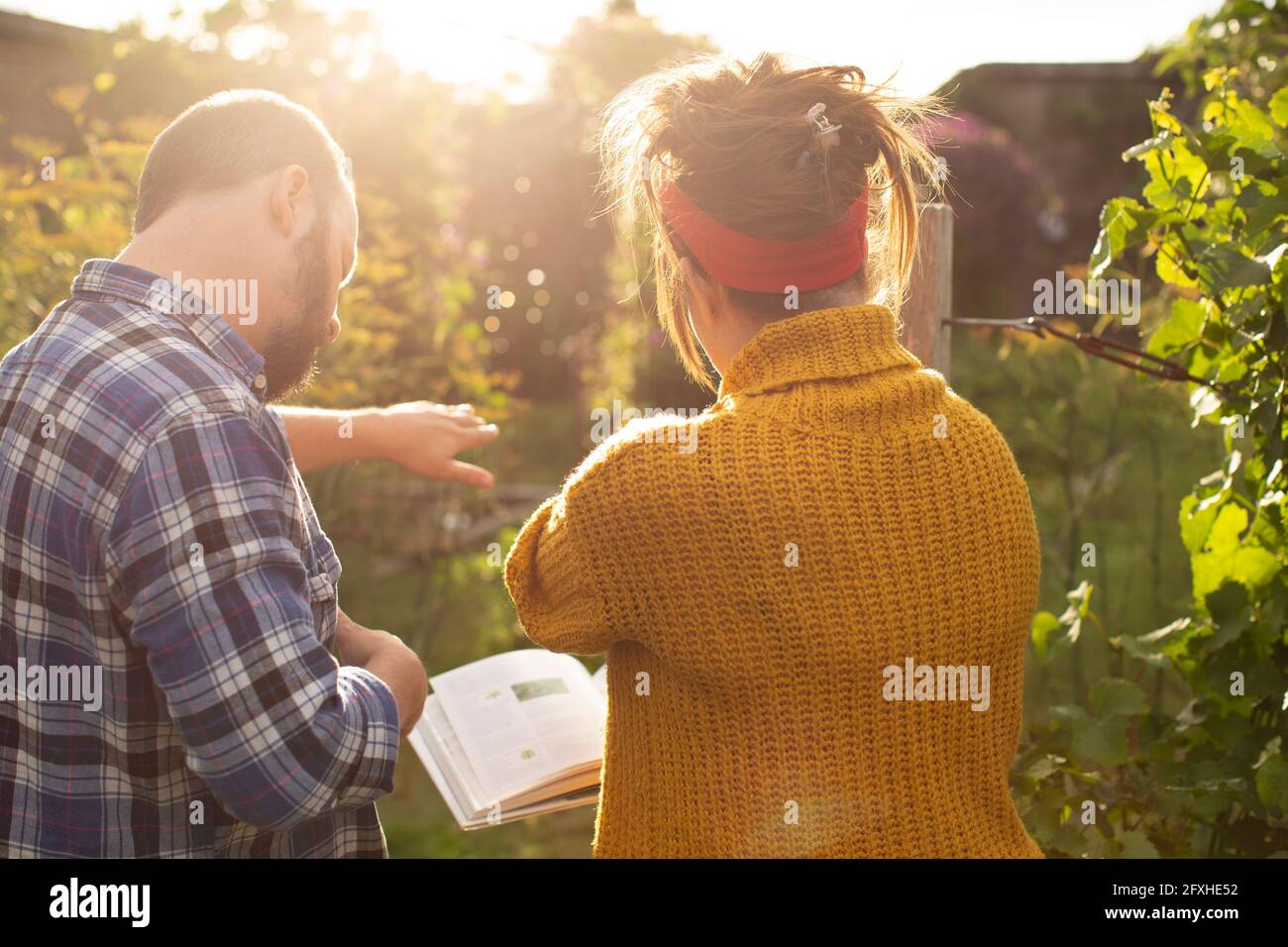 Paar mit Gartenbuch Planung im sonnigen Sommer Hinterhof Stockfoto