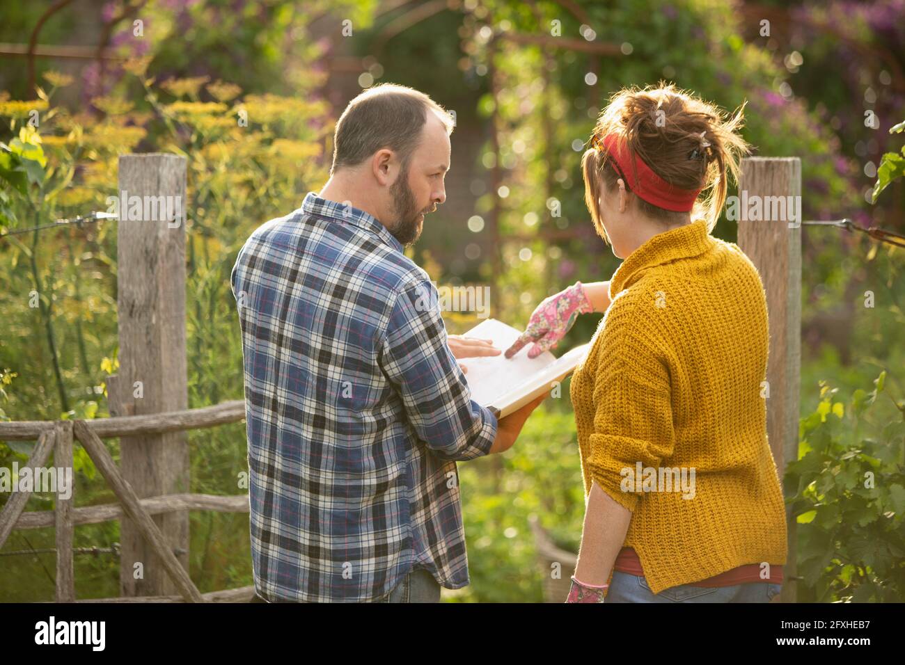 Paar mit Gartenbuch Planung im sonnigen Hinterhof Stockfoto