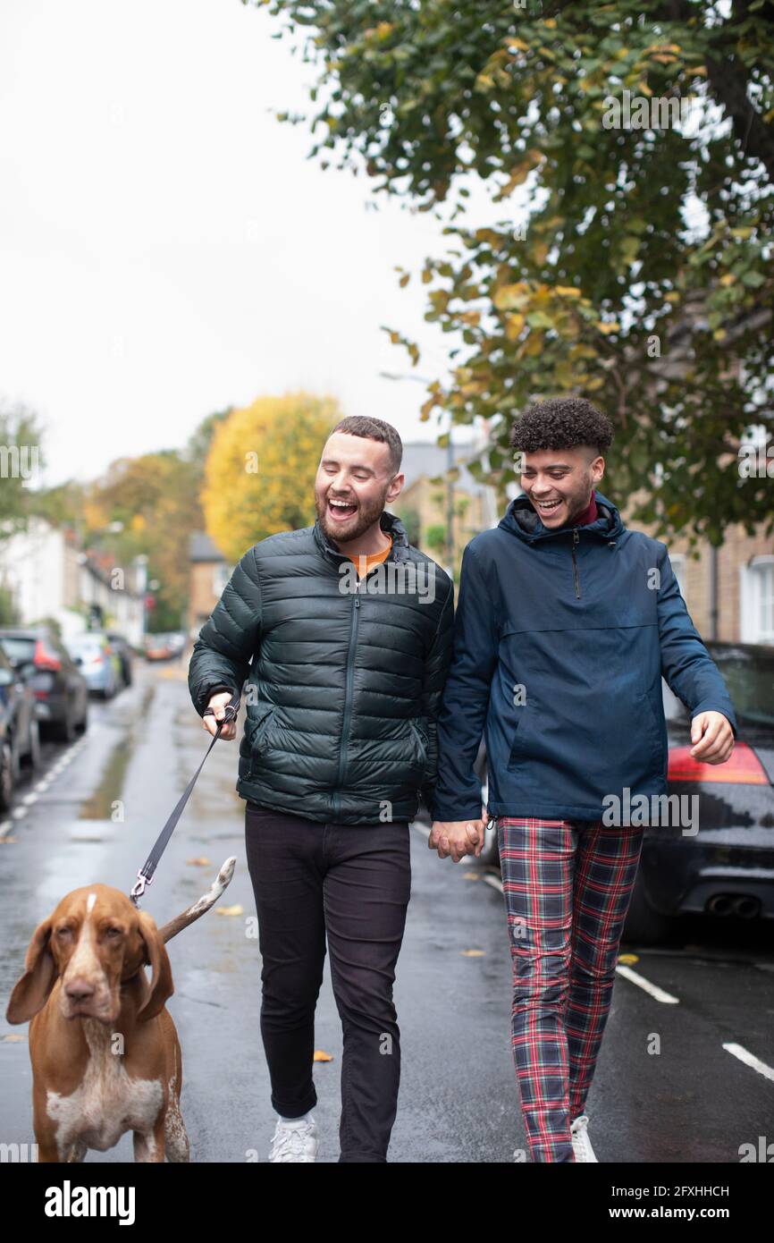 Glücklich Homosexuell männlichen Paar zu Fuß Hund auf nassen städtischen Straße Stockfoto