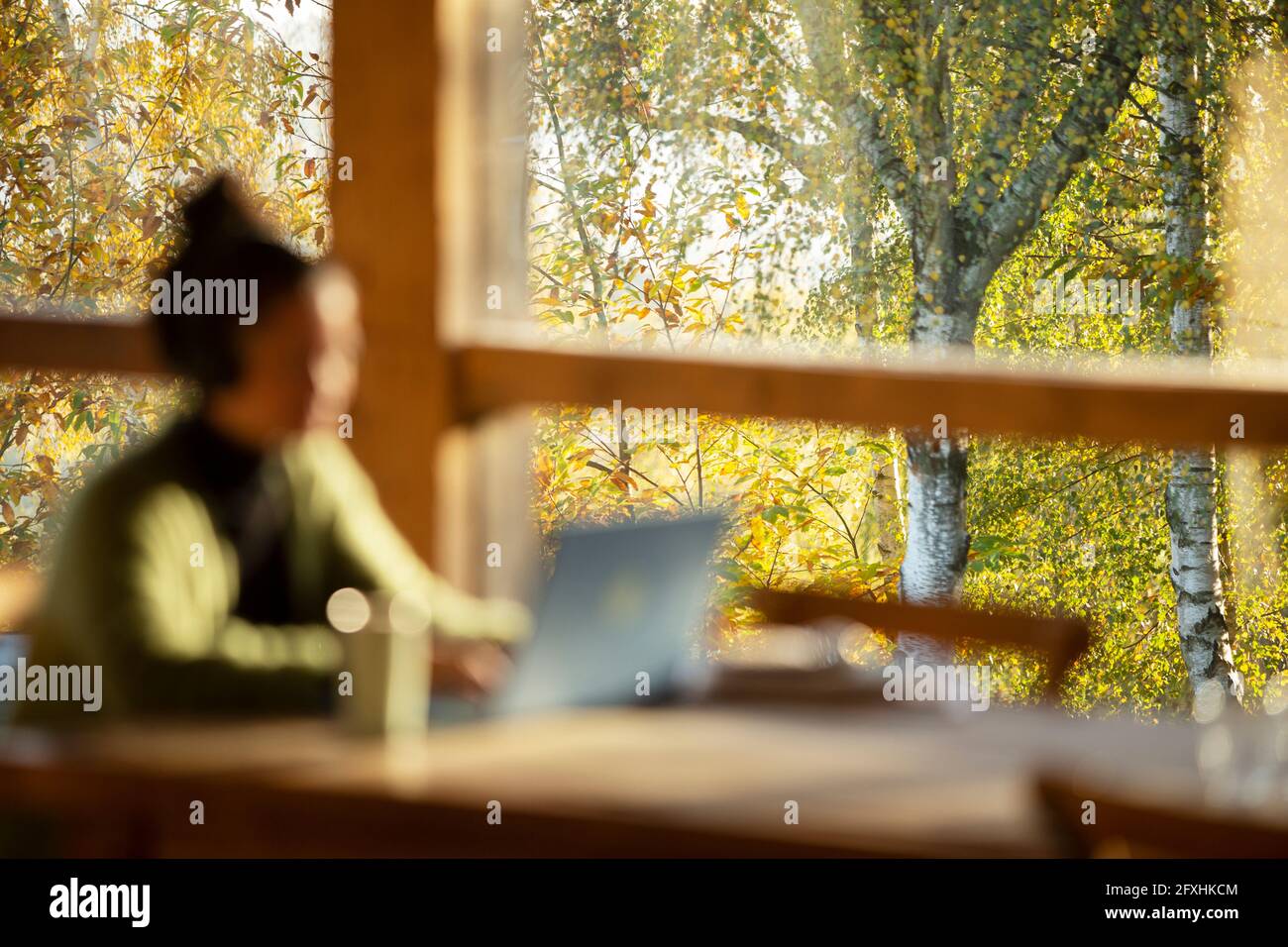 Frau, die am Laptop in einem Café mit Blick auf den Herbstbaum arbeitet Stockfoto