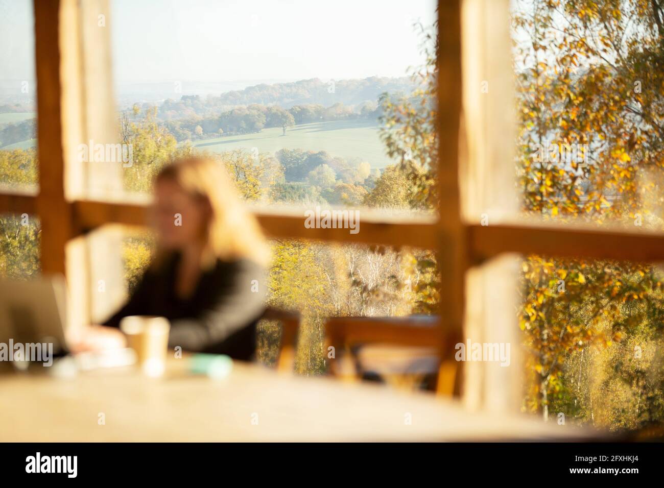Frau, die in einem Café mit sonniger Aussicht auf den Herbst arbeitet Stockfoto