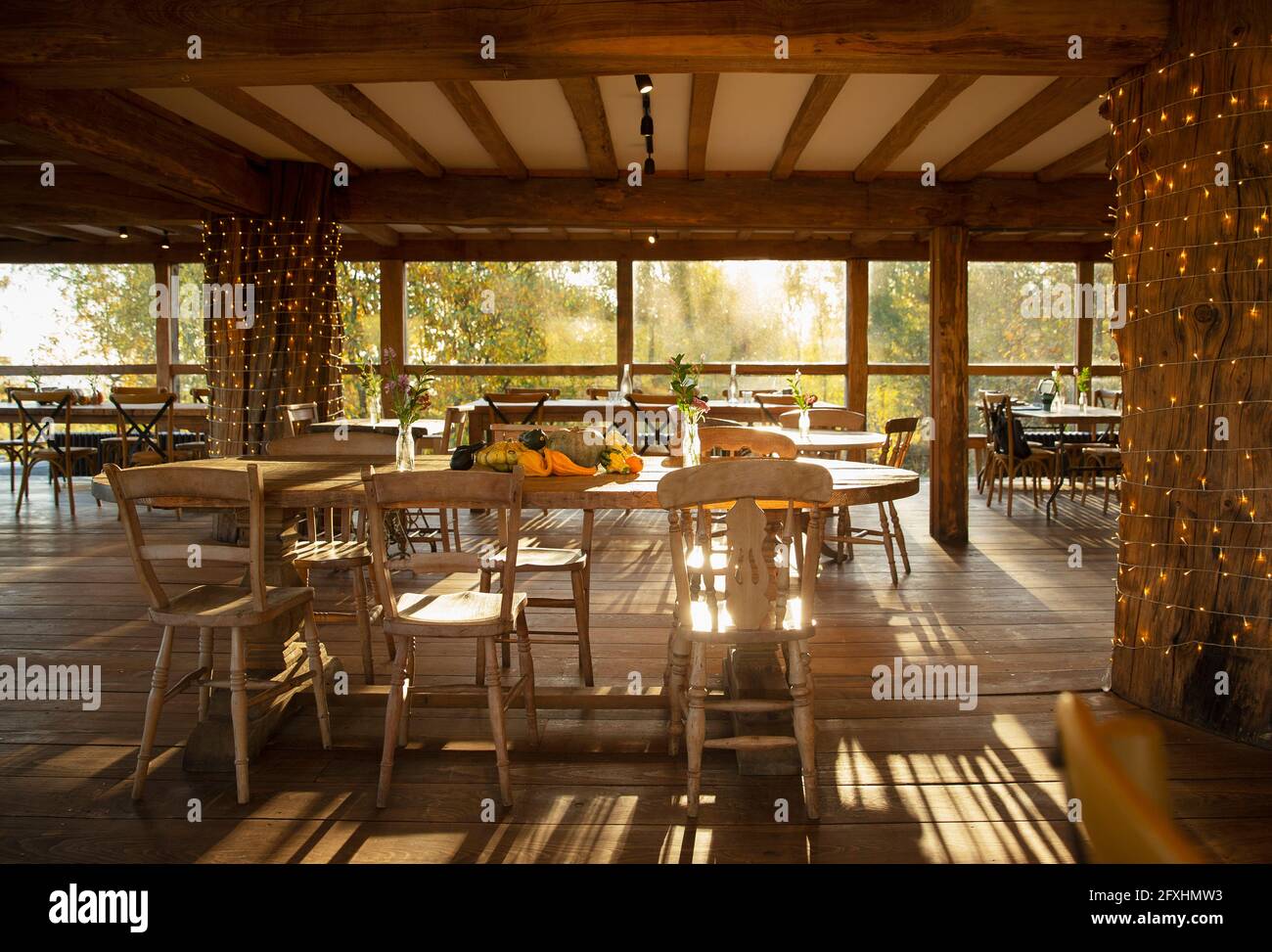 Herbstkürbisse und Kürbisse auf rustikalem Tisch im Restaurant Stockfoto