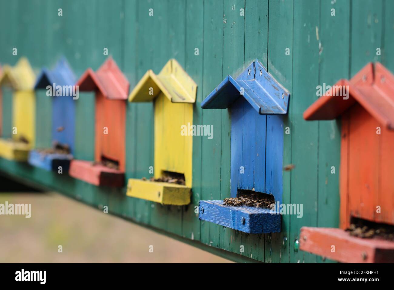 Niedliche bunte Bienenhaus Holzbehälter in der Vojvodina in Serbien Stockfoto