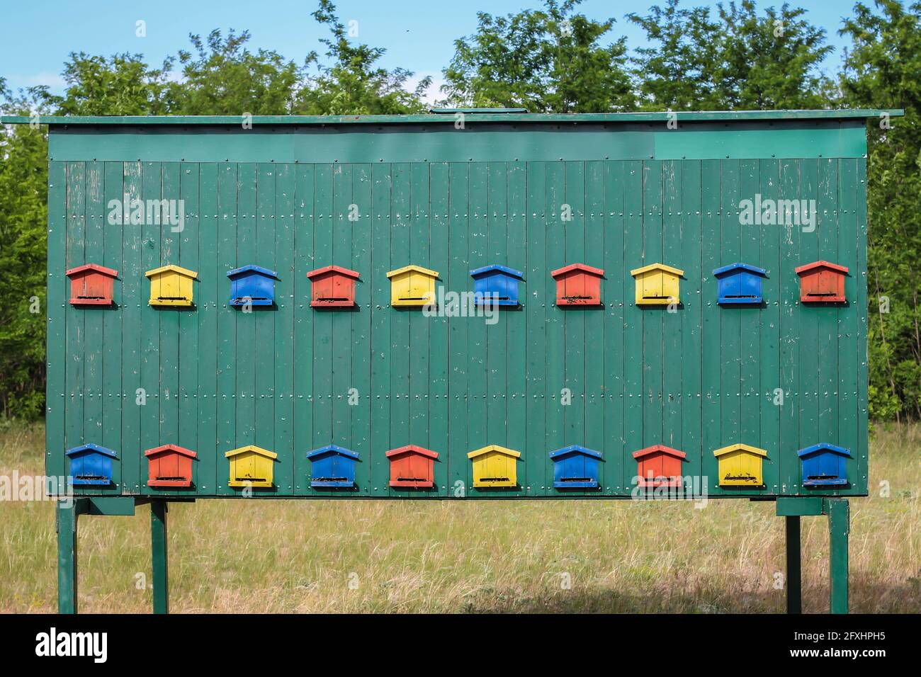 Niedliche bunte Bienenhaus Holzbehälter in der Vojvodina in Serbien Stockfoto