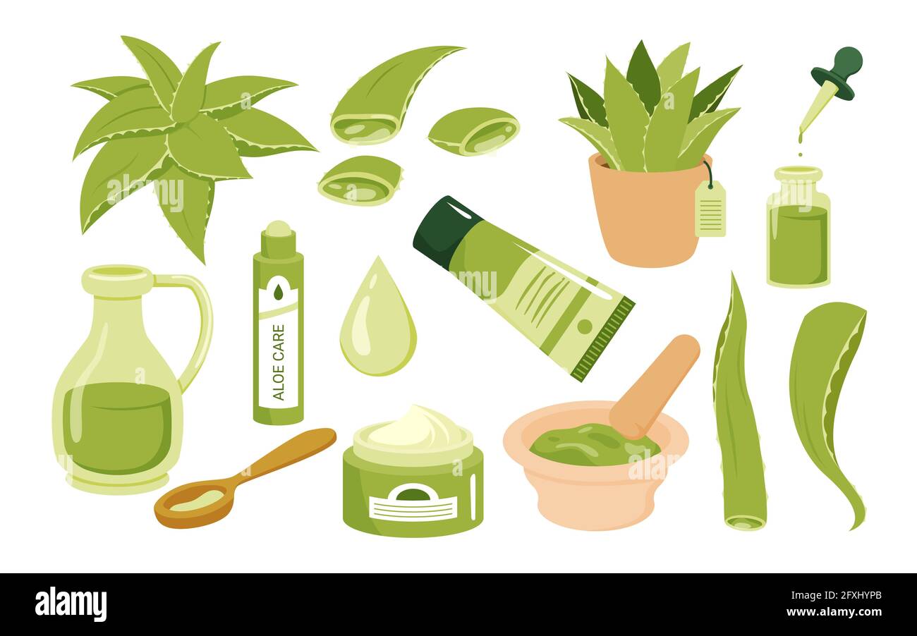 Aloe Vera Kosmetik-Hautpflege, Saft saftige Pflanze, Bio-Gel-Creme-Öl-Set Stock Vektor