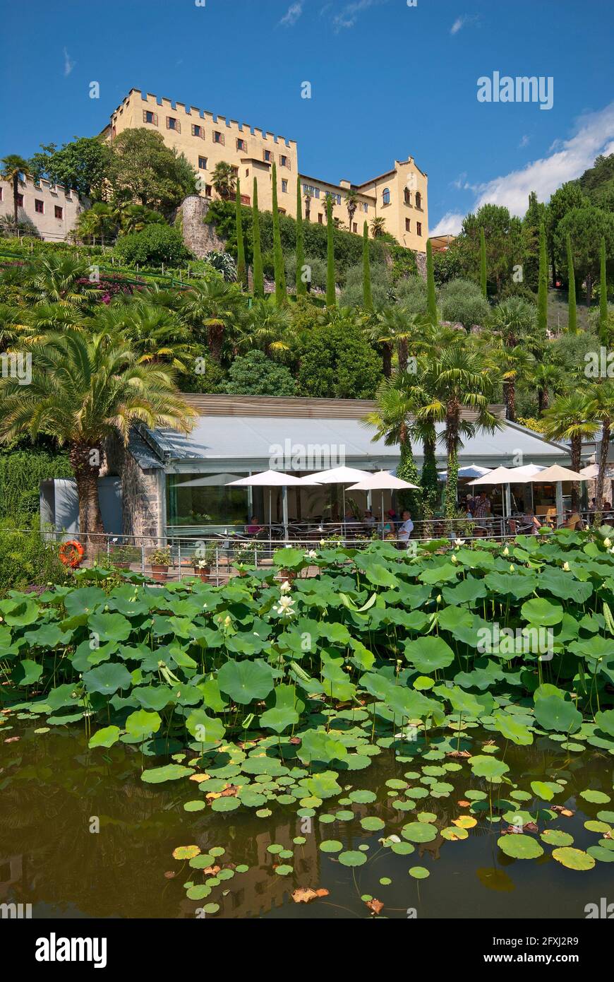 Gärten von Schloss Trauttmansdorff, Meran, Trentino-Südtirol, Italien Stockfoto