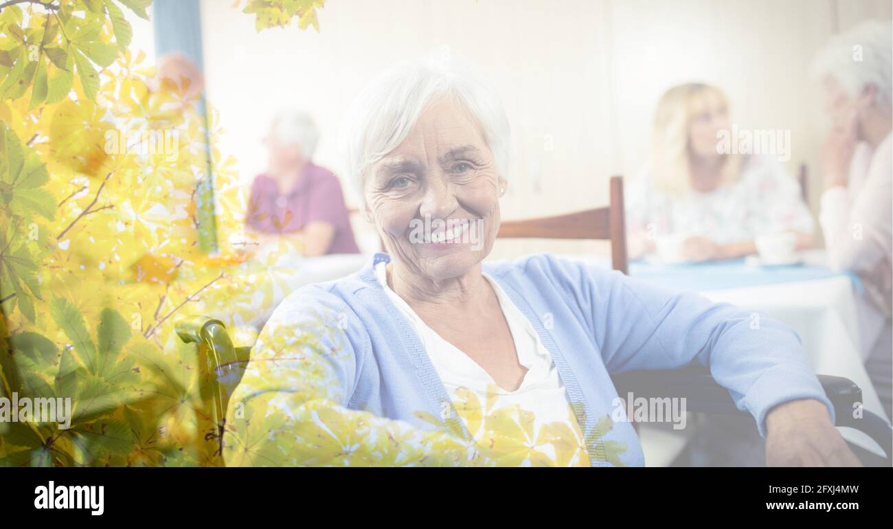 Zusammensetzung der lächelnden älteren kaukasischen Frau im Rollstuhl mit Baum Überlagerung Stockfoto