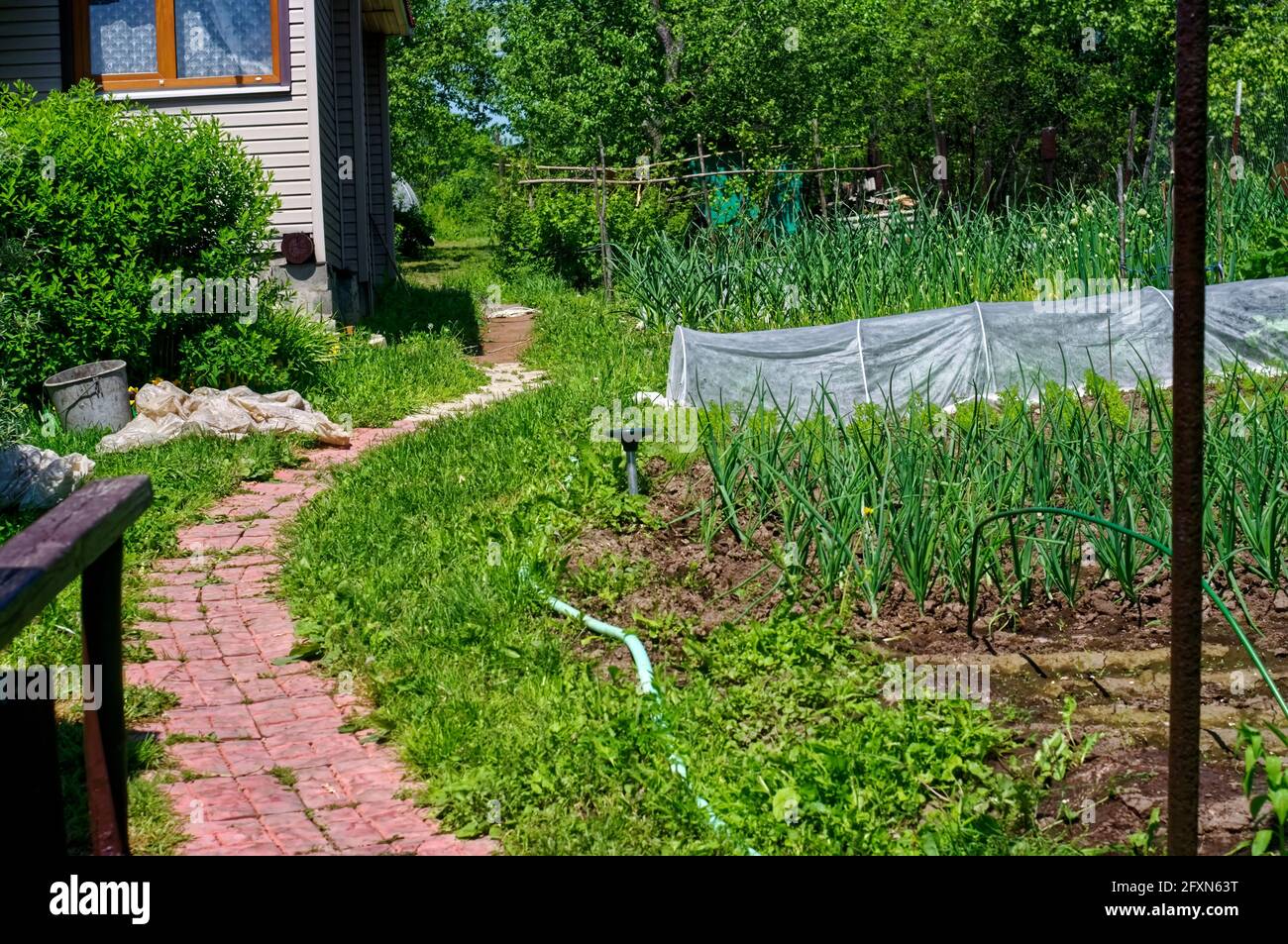 fliesensteg im Garten Stockfoto