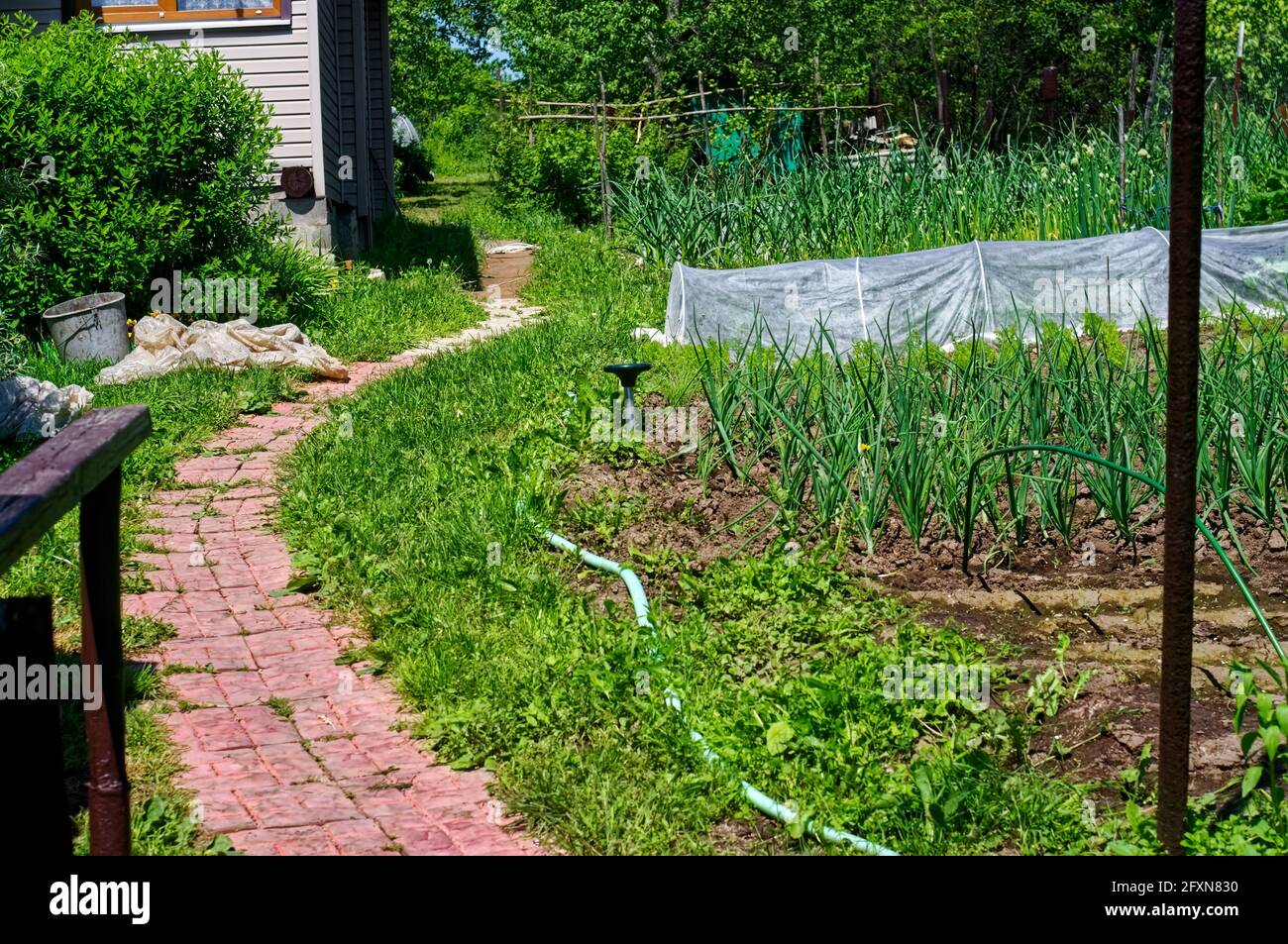 fliesensteg im Garten Stockfoto
