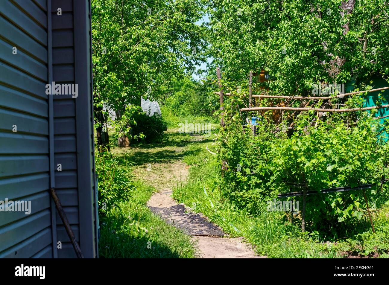 fliesensteg im Garten Stockfoto