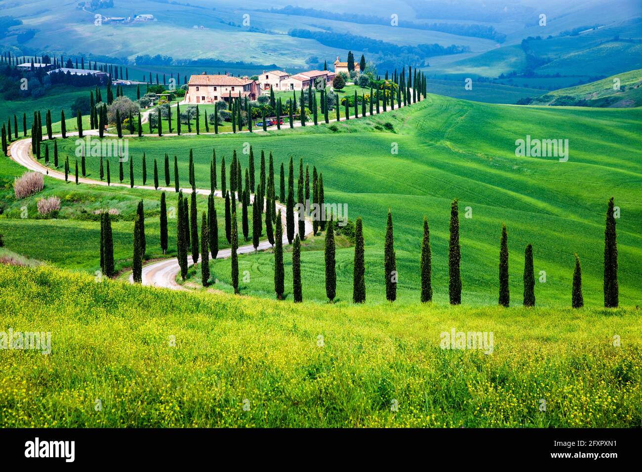 Bauernhaus in grüner Sommerlandschaft in der Nähe von Crete Senesi, Toskana, Italien, Europa Stockfoto