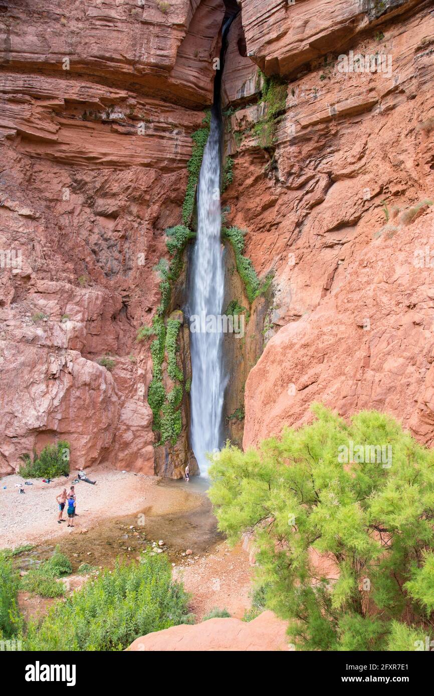 Wasserfall im Grand Canyon, Arizona, Vereinigte Staaten von Amerika, Nordamerika Stockfoto