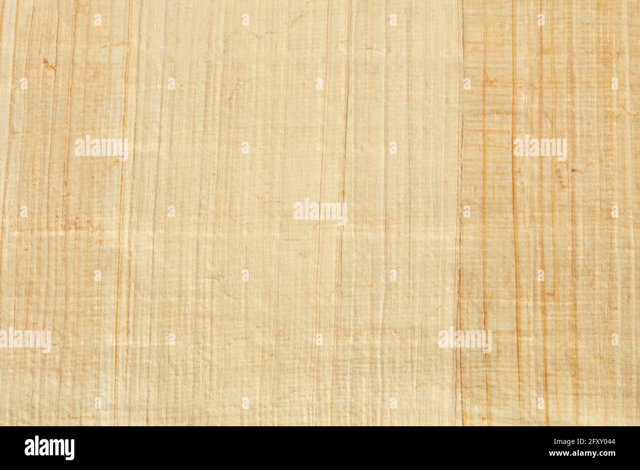 Papyrus Papier Textur Hintergrund Stockfoto